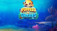 Puffers Vs Sharks