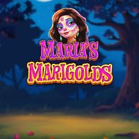 Marias Marigolds