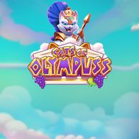 Cats Of Olympuss