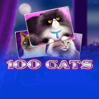100 Cats