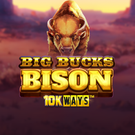 Big Bucks Bison 10K Ways