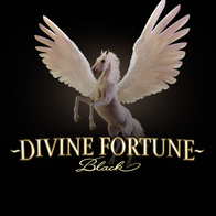 Divine Fortune Black