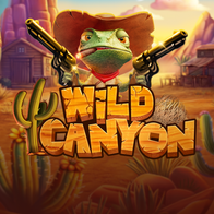 Wild Canyon