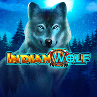 Indian Wolf