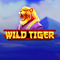 Wild Tiger Bgaming Bonanza Spirit Megaways