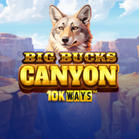 Big Buck Canyon 10K Ways