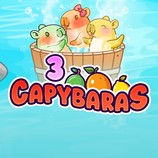 3 Capybaras