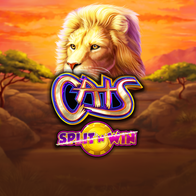 Cats Split N Win