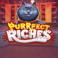 Purrfect Riches