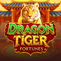 Dragon Tiger Fortune
