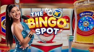 The Bingo Spot