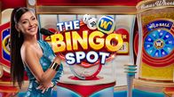 The Bingo Spot