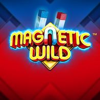 Magnetic Wild
