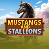 Mustangs And Stallions