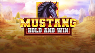 Mustang Hold and Win