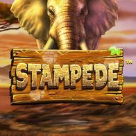 Stampede