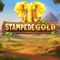 Stampede Gold