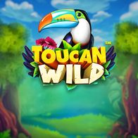 Toucan Wild