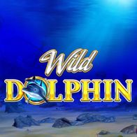 Wild Dolphin