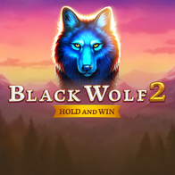Black Wolf 2