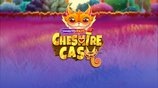 Connectify Pays Cheshire Cash