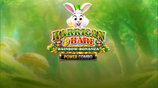 Harrigan Hare Rainbow Bonanza Power Combo