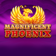 Magnificent Phoenix