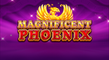 Magnificent Phoenix