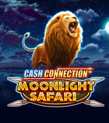 Cash Connection Moonlight Safari
