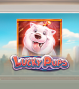 Lucky Pups