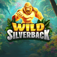 Wild Silverback