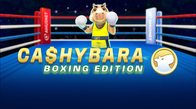 Cashybara Boxing Edition
