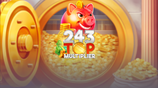 243 Top Multiplier