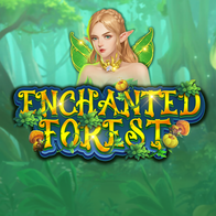 Enchanted Forest