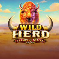 Wild Herd Stampede Stacks