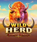 Wild Herd Stampede Stacks
